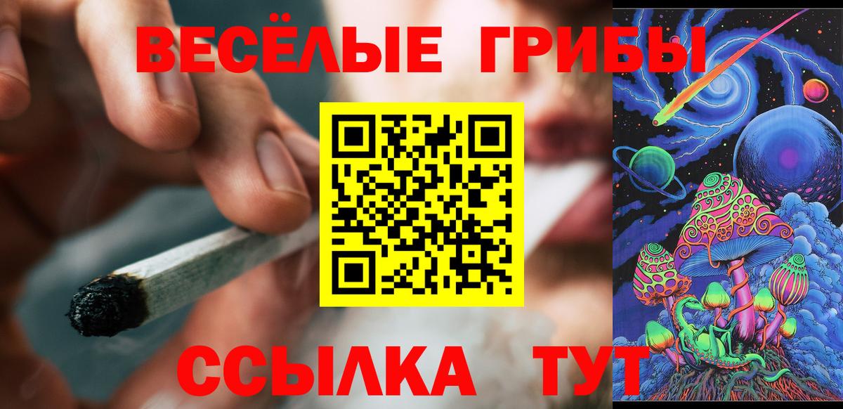 Псилоцибиновые грибы Cubensis Великий Устюг
